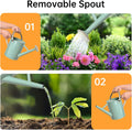 Metal Watering Can for Outdoor Plants, Galvanized Steel Watering Can with Removable Spout, 1 Gallon,Perfect Home & Garden Décor Cream Green