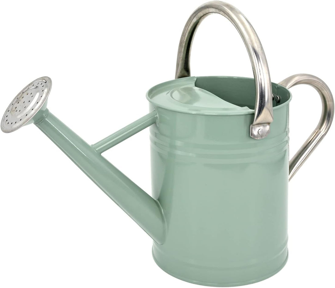 Metal Watering Can for Outdoor Plants, Galvanized Steel Watering Can with Removable Spout, 1 Gallon,Perfect Home & Garden Décor Cream Green