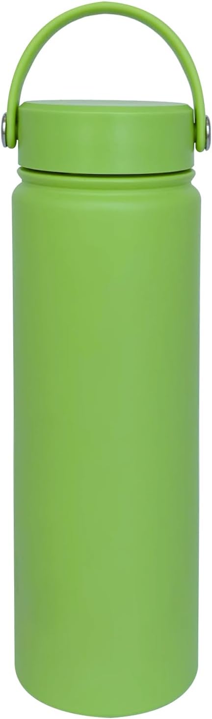 22Oz Insulated Water Bottle ，Stainless Steel Sports Water Cup Flask with 2 Lids, Wide Mouth Travel Thermal Mug,Outdoor Sports Bottle（Lemon Green）