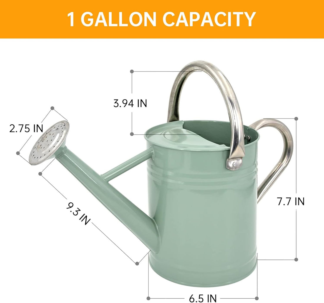 Metal Watering Can for Outdoor Plants, Galvanized Steel Watering Can with Removable Spout, 1 Gallon,Perfect Home & Garden Décor Cream Green