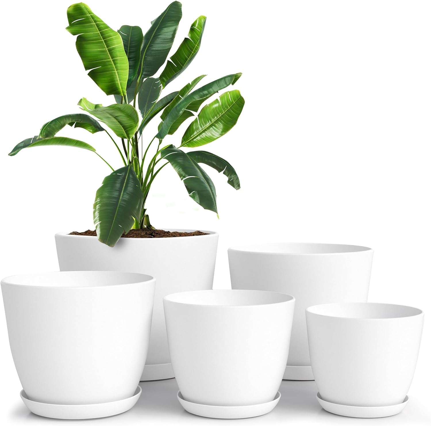 - Plant Pots with Drainage - 7/6.6/6/5.3/4.8 Inches Home Decor Flower Pots for Indoor Planter - Pack of 5 Plastic Planters, Cactus, Succulents Pot - White