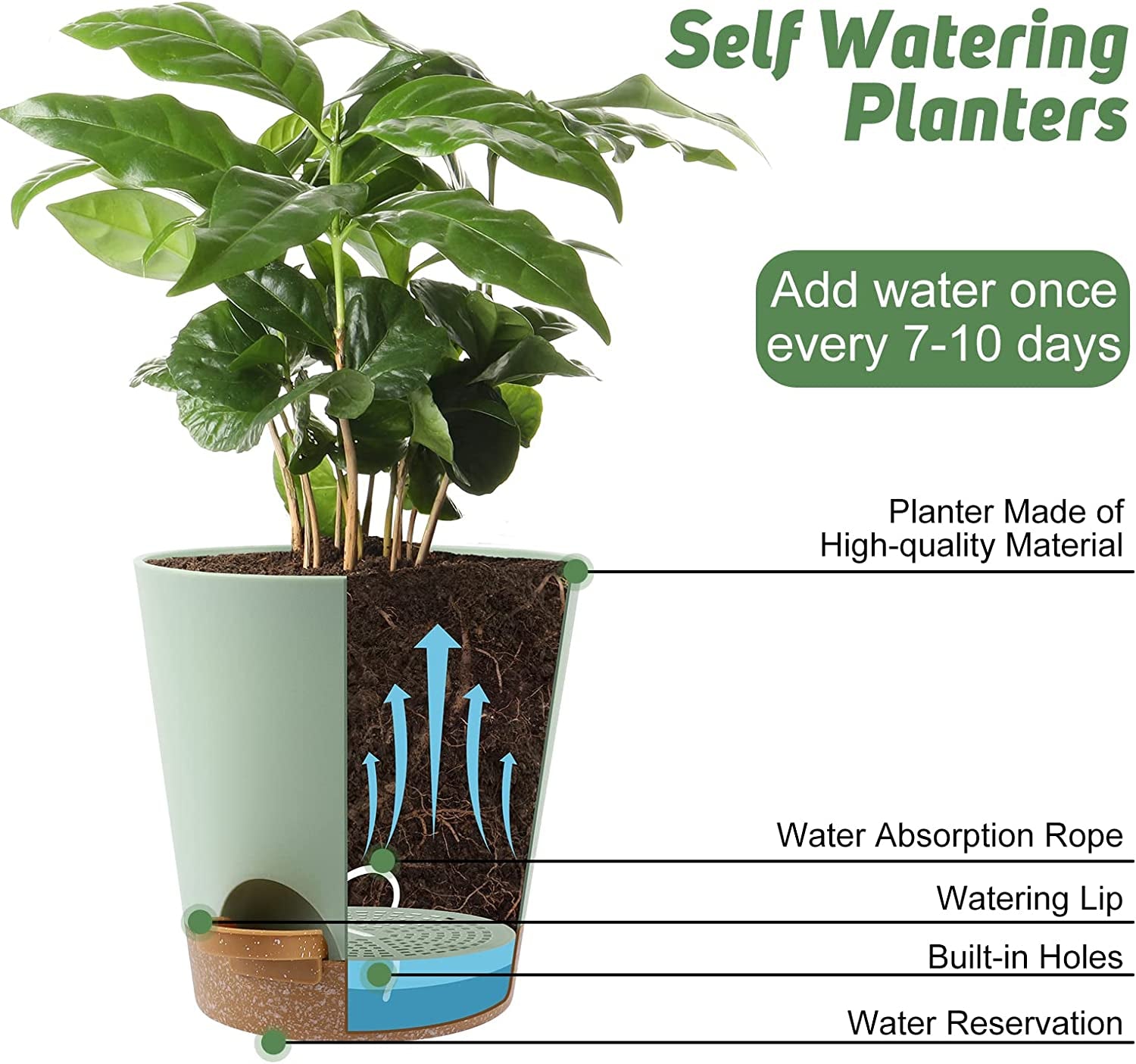 Indoor Self Watering Planters with Drainage Holes and Saucers, 8, 7, 6.5, 6, 5.5, 5 Inches, Green, 6 Pots