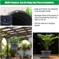 Plant Pots Set of 5, 10 Inch round Flower Pots, Thickened Plant Planters with Drainage Holes, Garden Pots for Indoor Outdoor (Dark Gray)