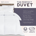 Canadian down Comforter – Extremely Soft and Lightweight Duvet Insert – Corner Loops in Each Corner, 600 Thread Count - 100% Cotton Sateen Shell, Twin